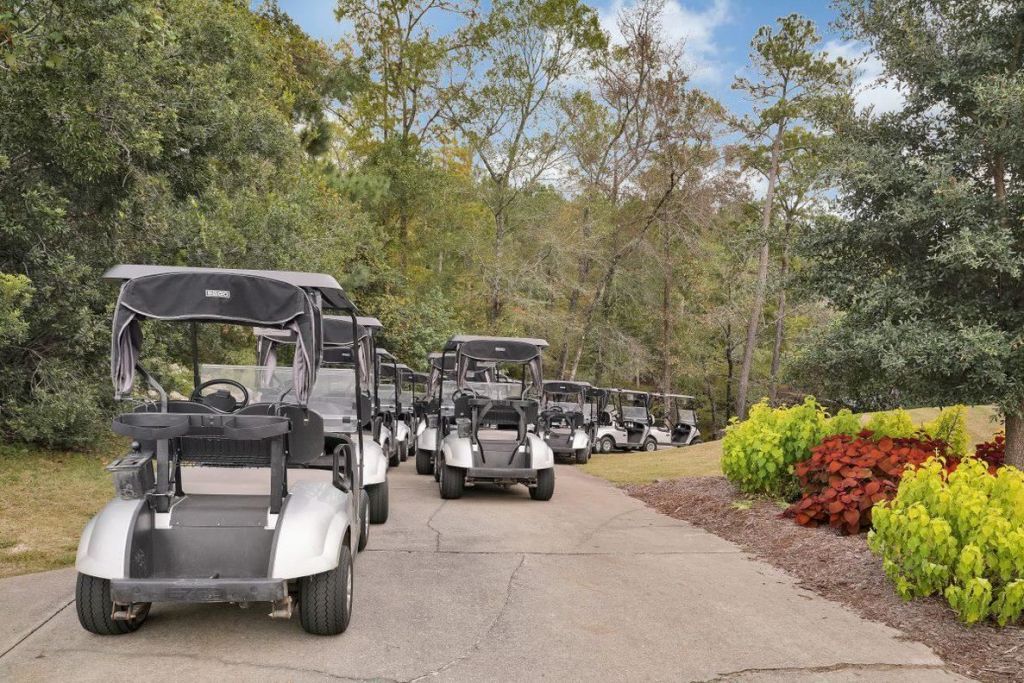 1028 Cherrystone Loop Photo 35