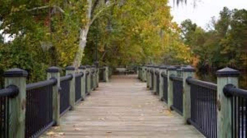 1028 Cherrystone Loop Photo 36