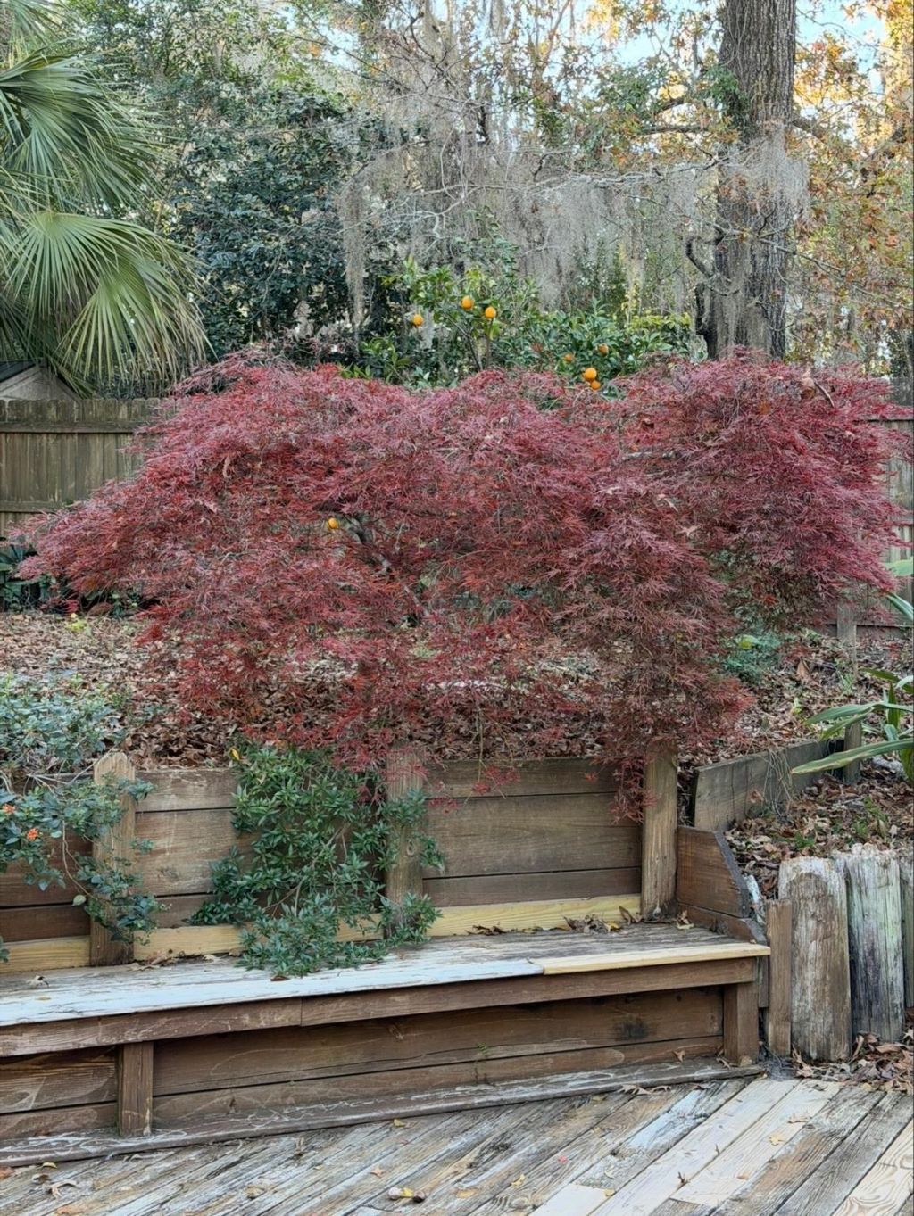 1115 Domingo Drive , Tallahassee, FL 32304 Photo