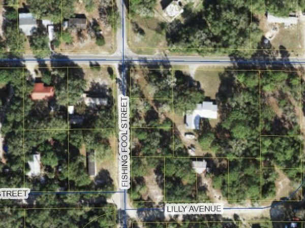 xx Lilly Avenue, Panacea, FL 32346