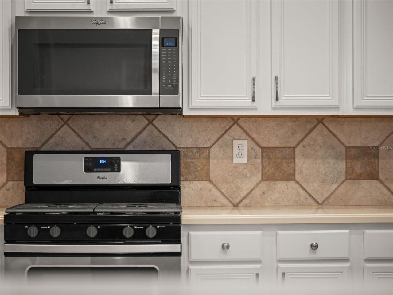 17923 Arbor Greene Drive, Tampa, FL 33647 Photo