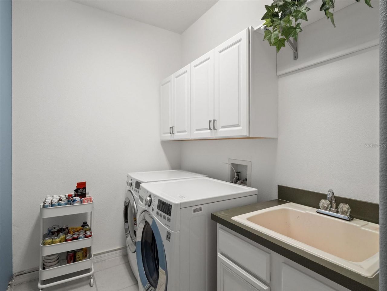 17923 Arbor Greene Drive, Tampa, FL 33647 Photo
