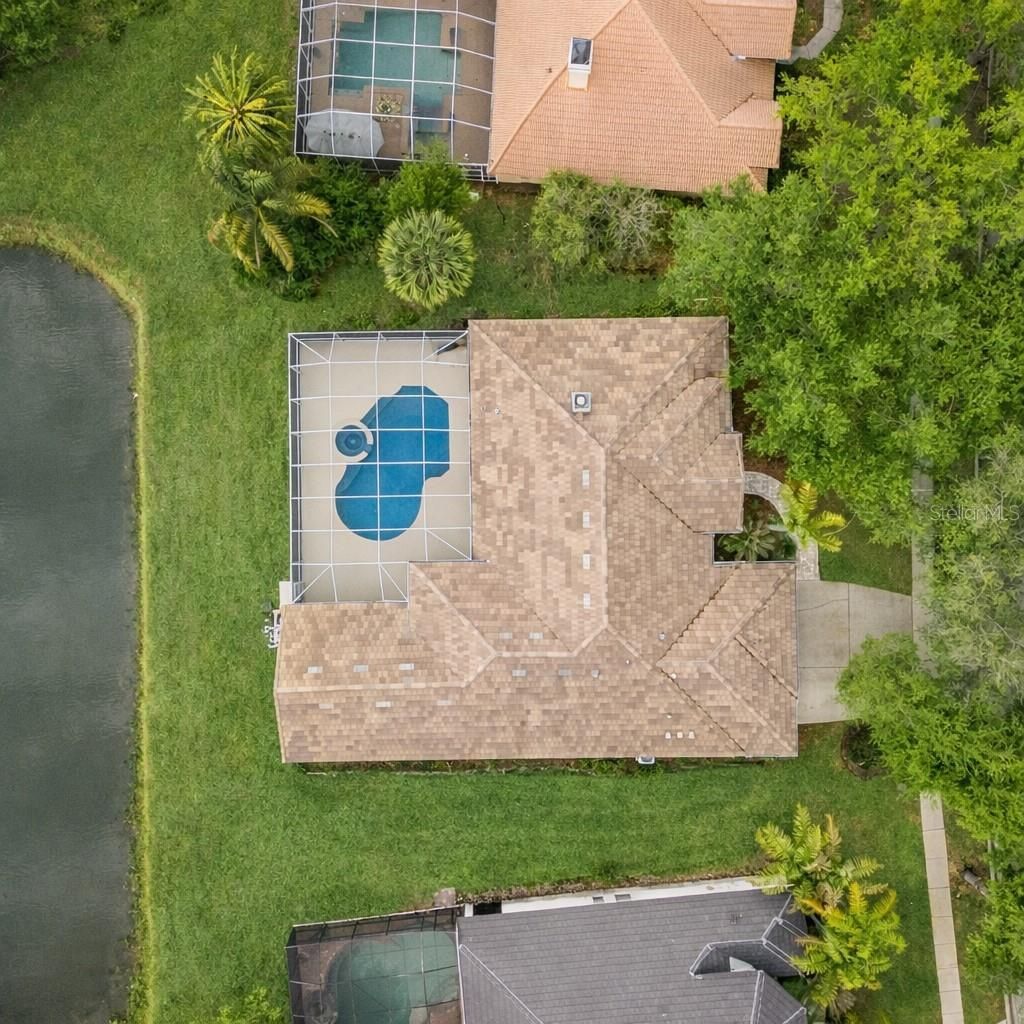 17923 Arbor Greene Drive, Tampa, FL 33647 Photo