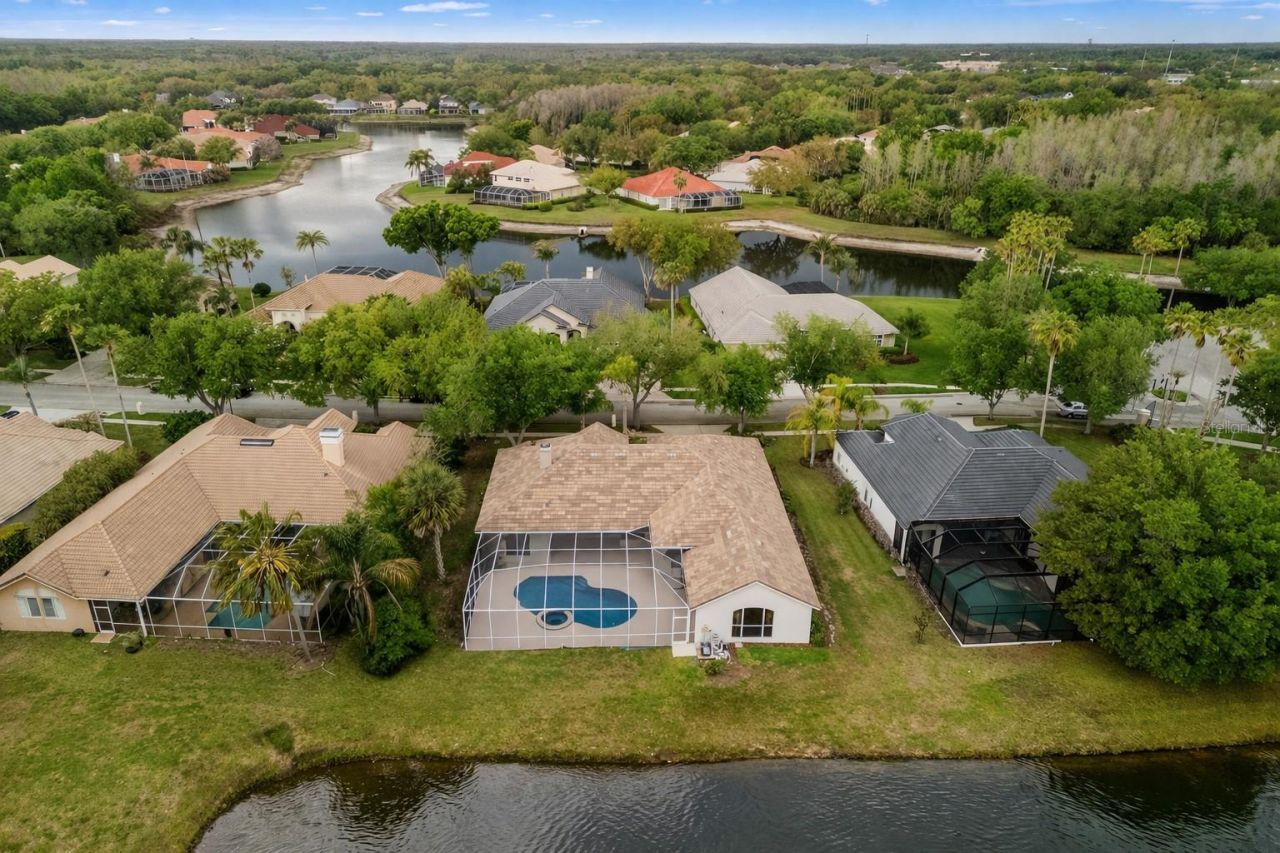 17923 Arbor Greene Drive, Tampa, FL 33647 Photo