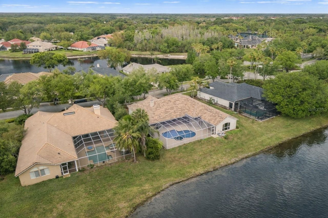 17923 Arbor Greene Drive, Tampa, FL 33647 Photo