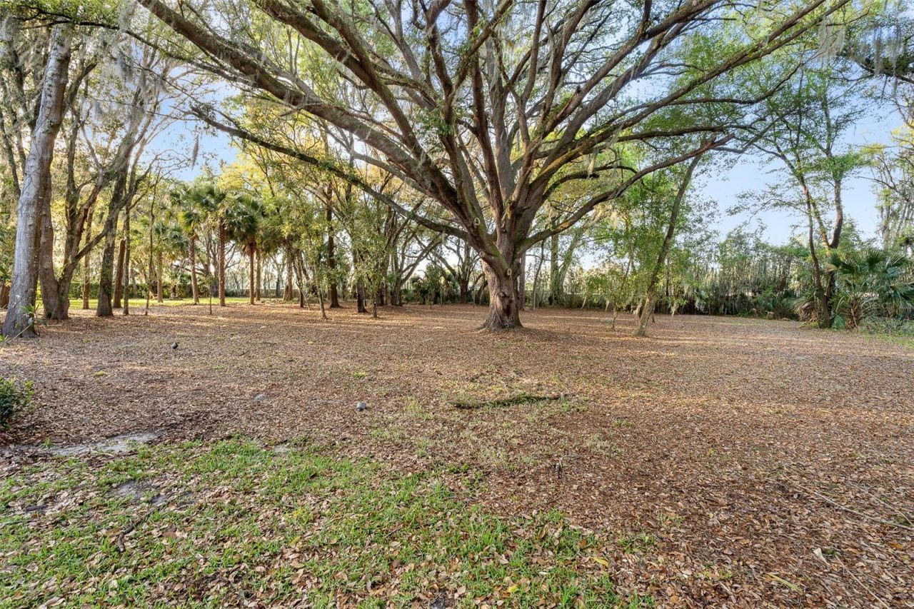 7341 Bella Foresta Place, Sanford, FL 32771 Photo