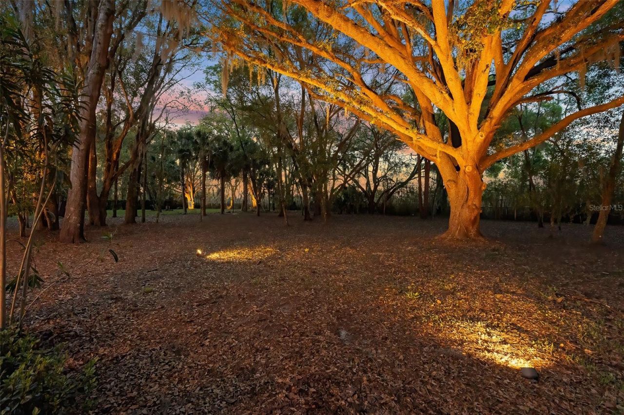 7341 Bella Foresta Place, Sanford, FL 32771 Photo