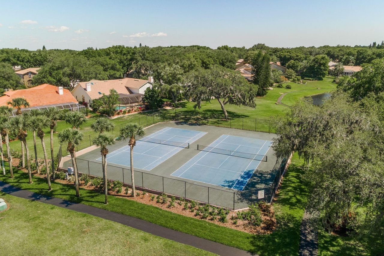 3472 Shoreline Circle, Palm Harbor, FL 34684 Photo