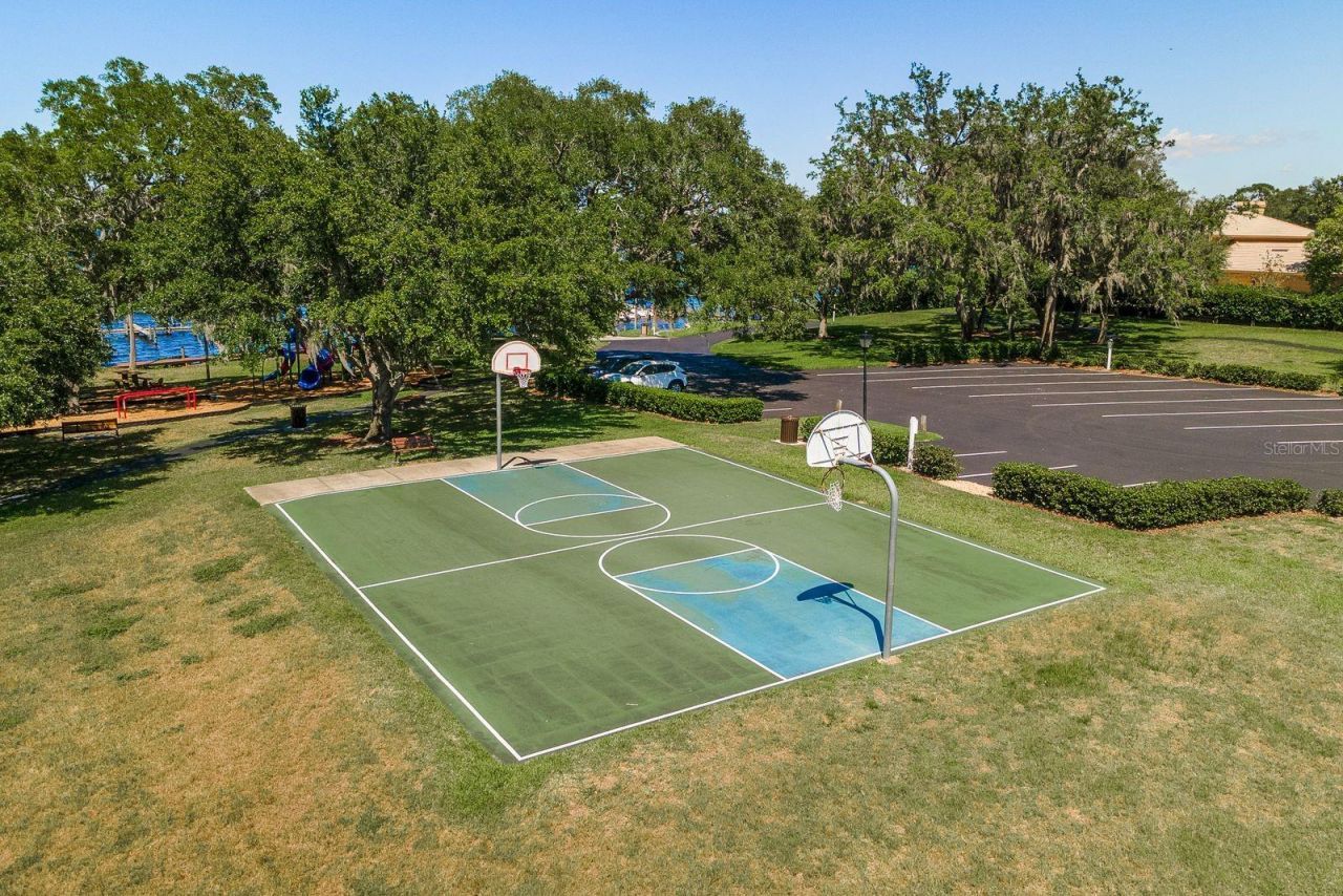 3472 Shoreline Circle, Palm Harbor, FL 34684 Photo