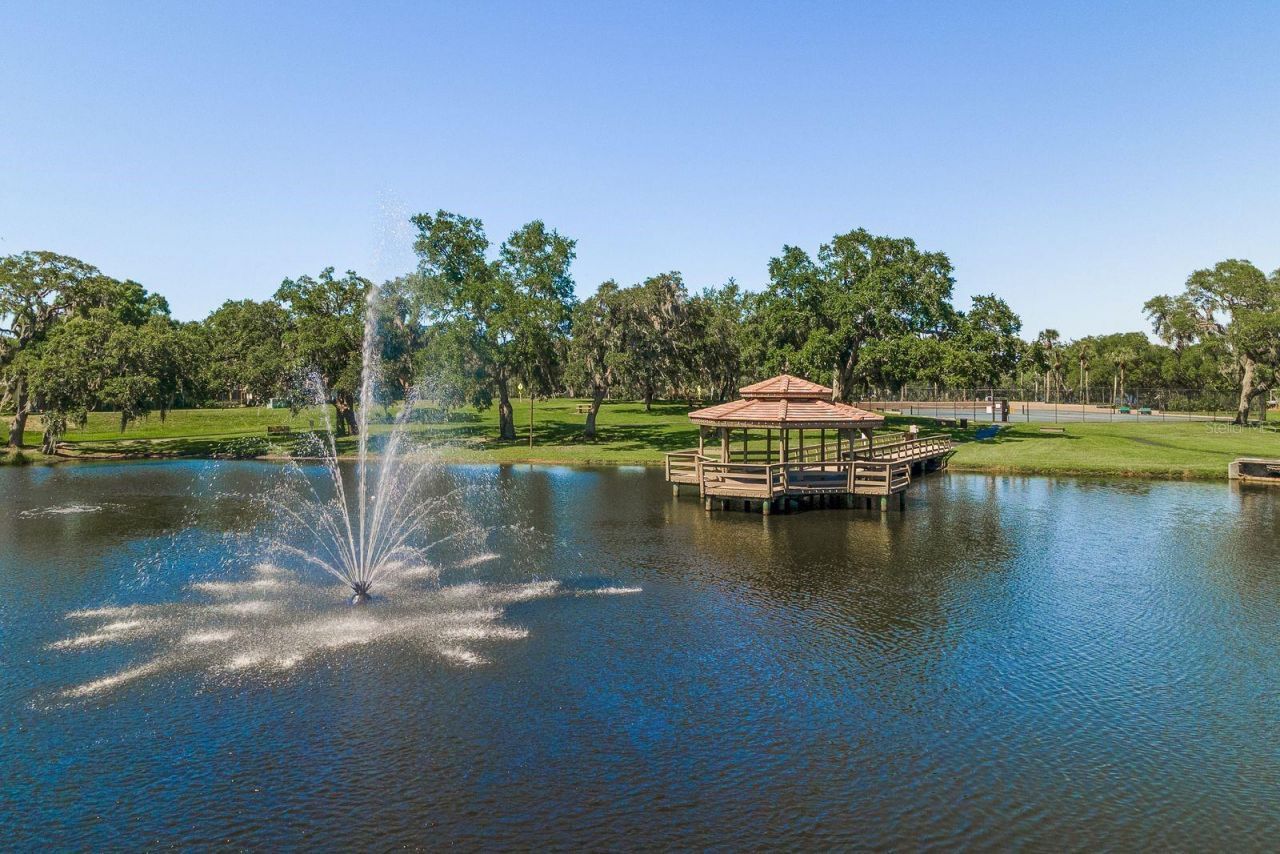 3472 Shoreline Circle, Palm Harbor, FL 34684 Photo