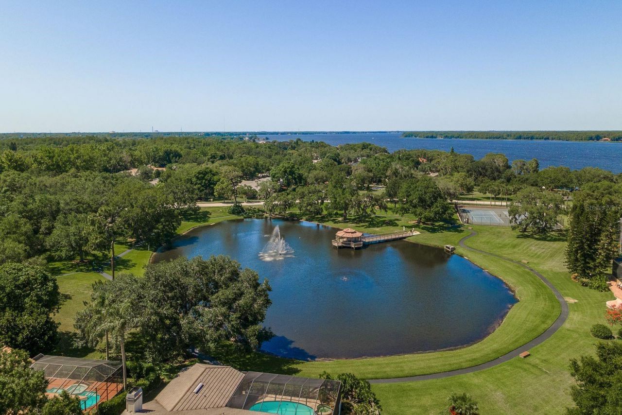 3472 Shoreline Circle, Palm Harbor, FL 34684 Photo