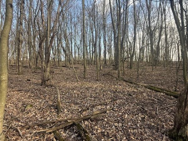 0 Main St, Lemont Furnace, PA 15456