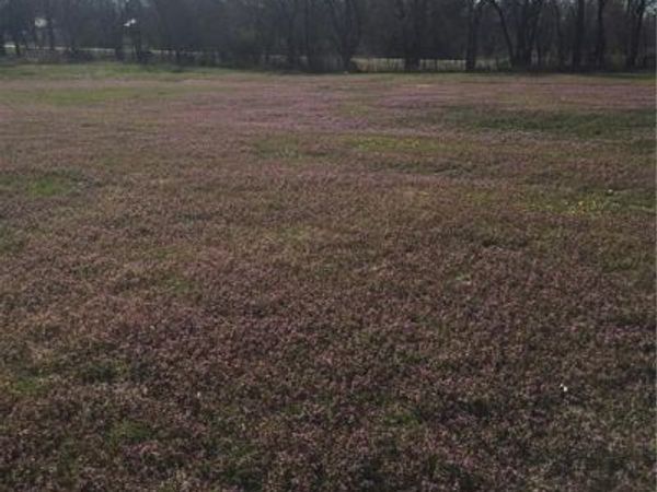 W Main Street, Blue Mound, KS 66010