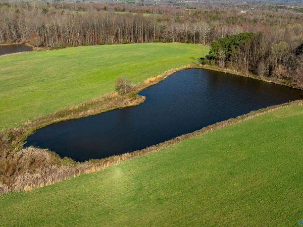 85 acres Woodland Drive, Ider, AL 35981