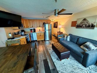 362 Mountain Lodge Snowshoe, WV 26209