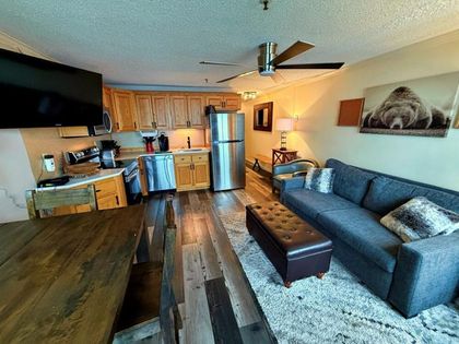 362 Mountain Lodge Snowshoe, WV 26209