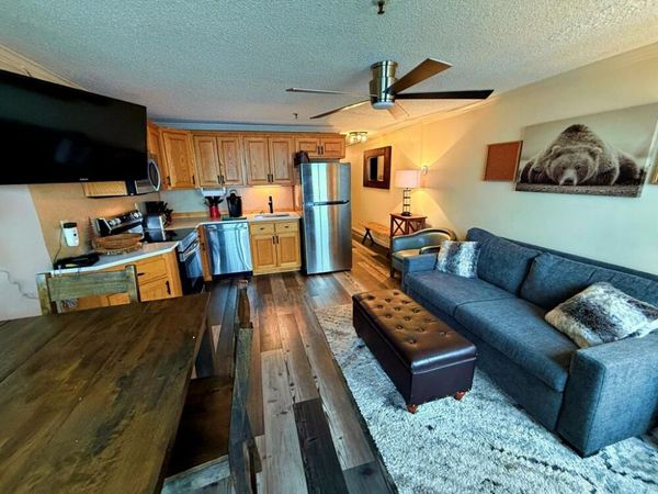 362 Mountain Lodge, Snowshoe, WV 26209