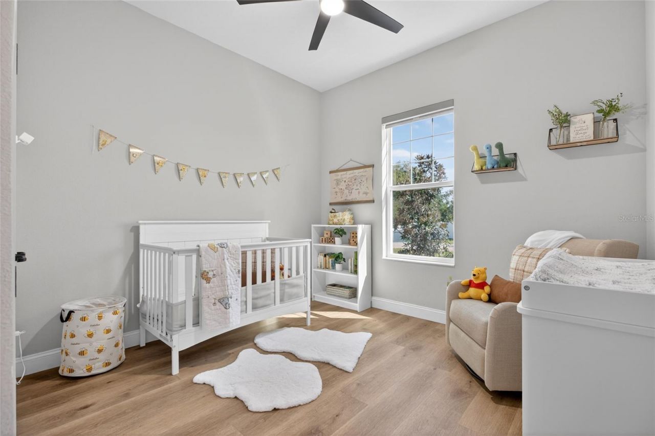 3188 Brown Brocket Lane, Lutz, FL 33559 Photo