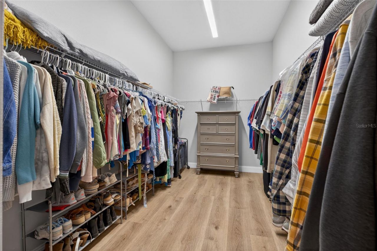 3188 Brown Brocket Lane, Lutz, FL 33559 Photo