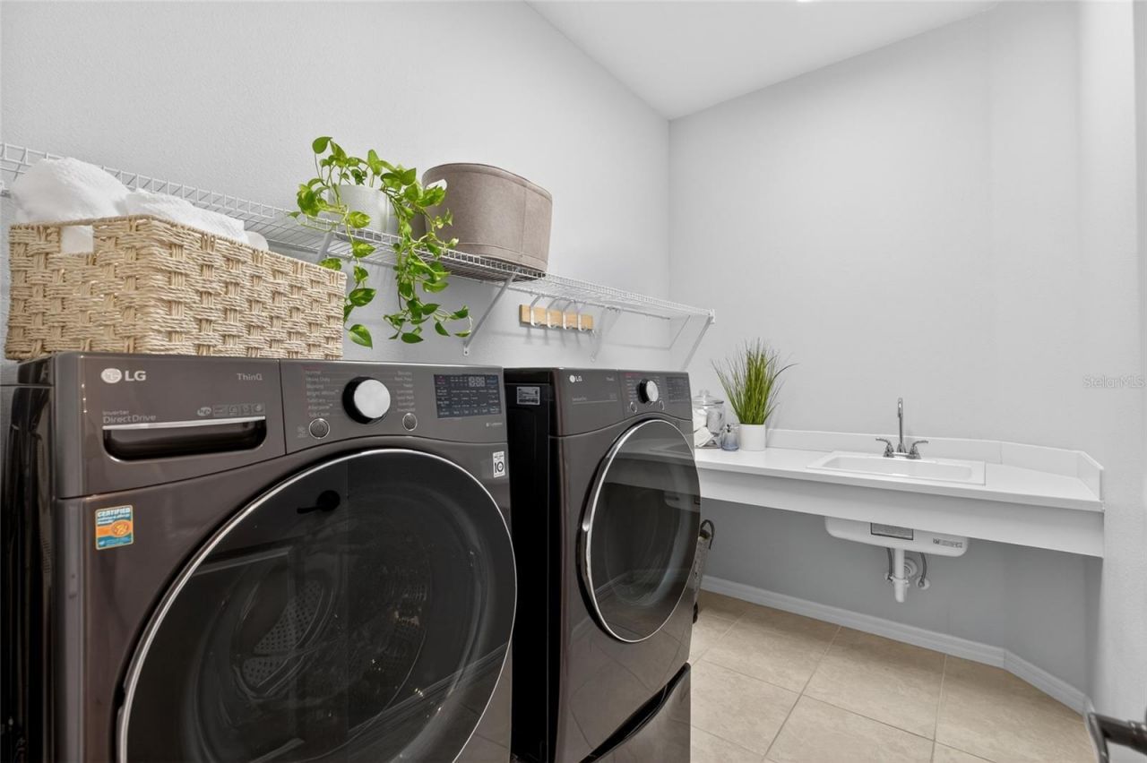 3188 Brown Brocket Lane, Lutz, FL 33559 Photo