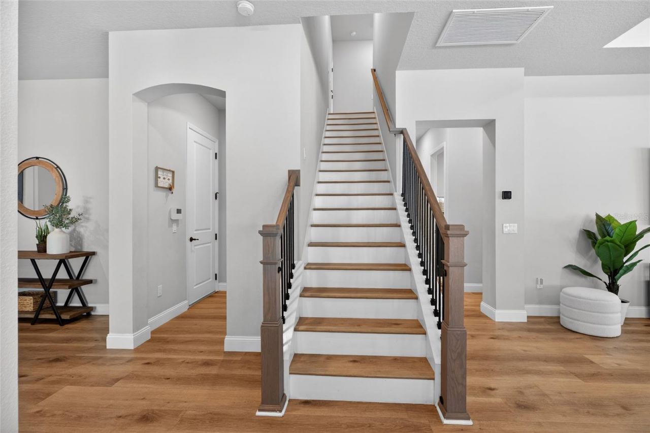 3188 Brown Brocket Lane, Lutz, FL 33559 Photo