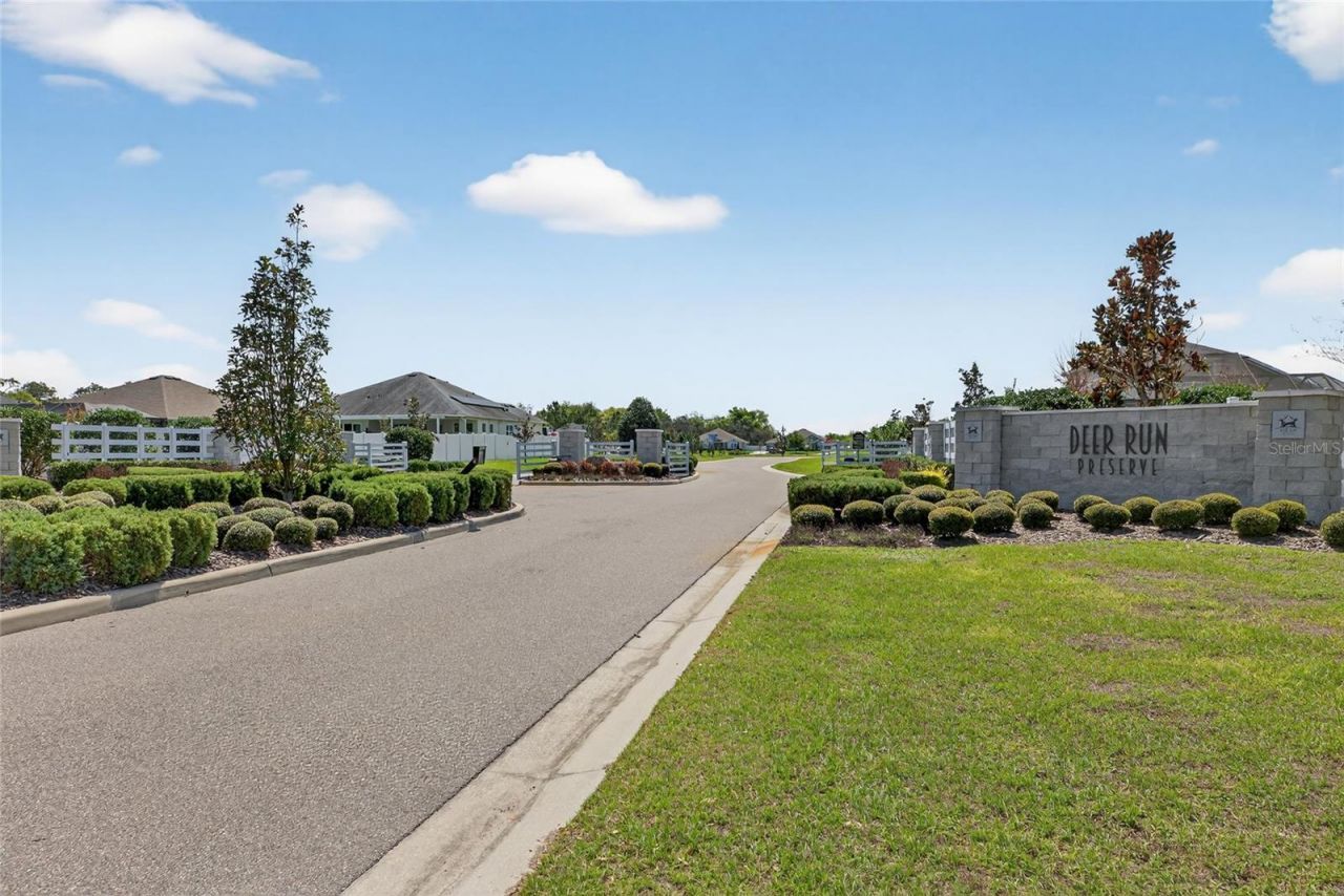 3188 Brown Brocket Lane, Lutz, FL 33559 Photo