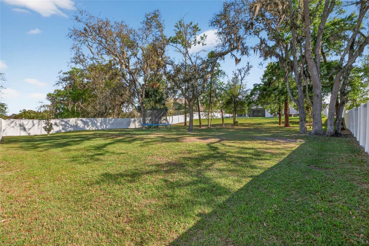 3188 Brown Brocket Lane, Lutz, FL 33559 Photo