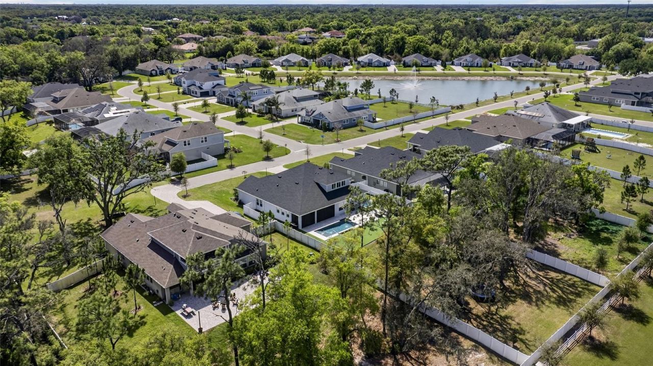 3188 Brown Brocket Lane, Lutz, FL 33559 Photo