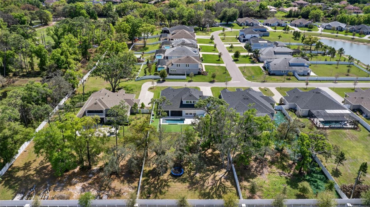 3188 Brown Brocket Lane, Lutz, FL 33559 Photo