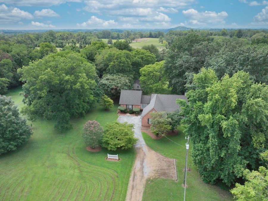 Property Image 60