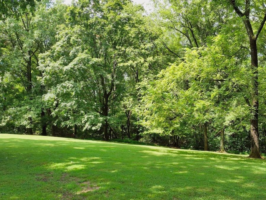 Property Image 66