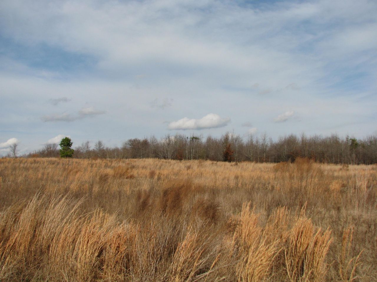 0 Cannery Rd  Photo 15