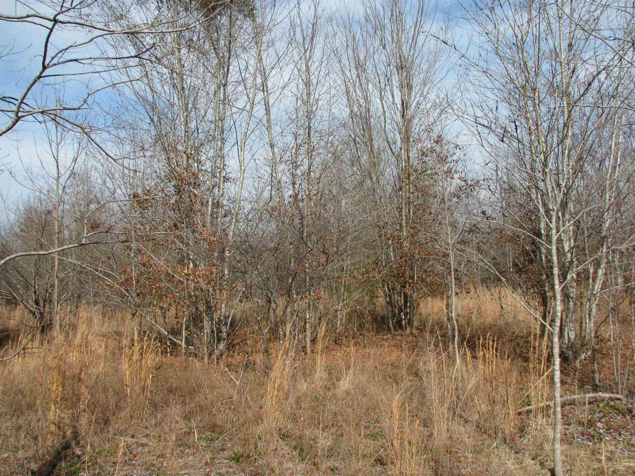 0 Cannery Rd  Photo 16