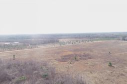 0 Cannery Rd  photo 4