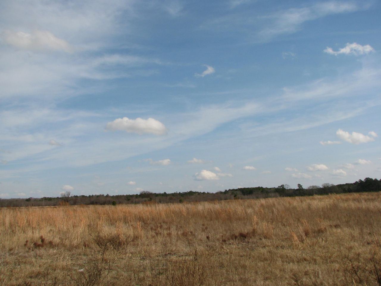 0 Cannery Rd  Photo 21