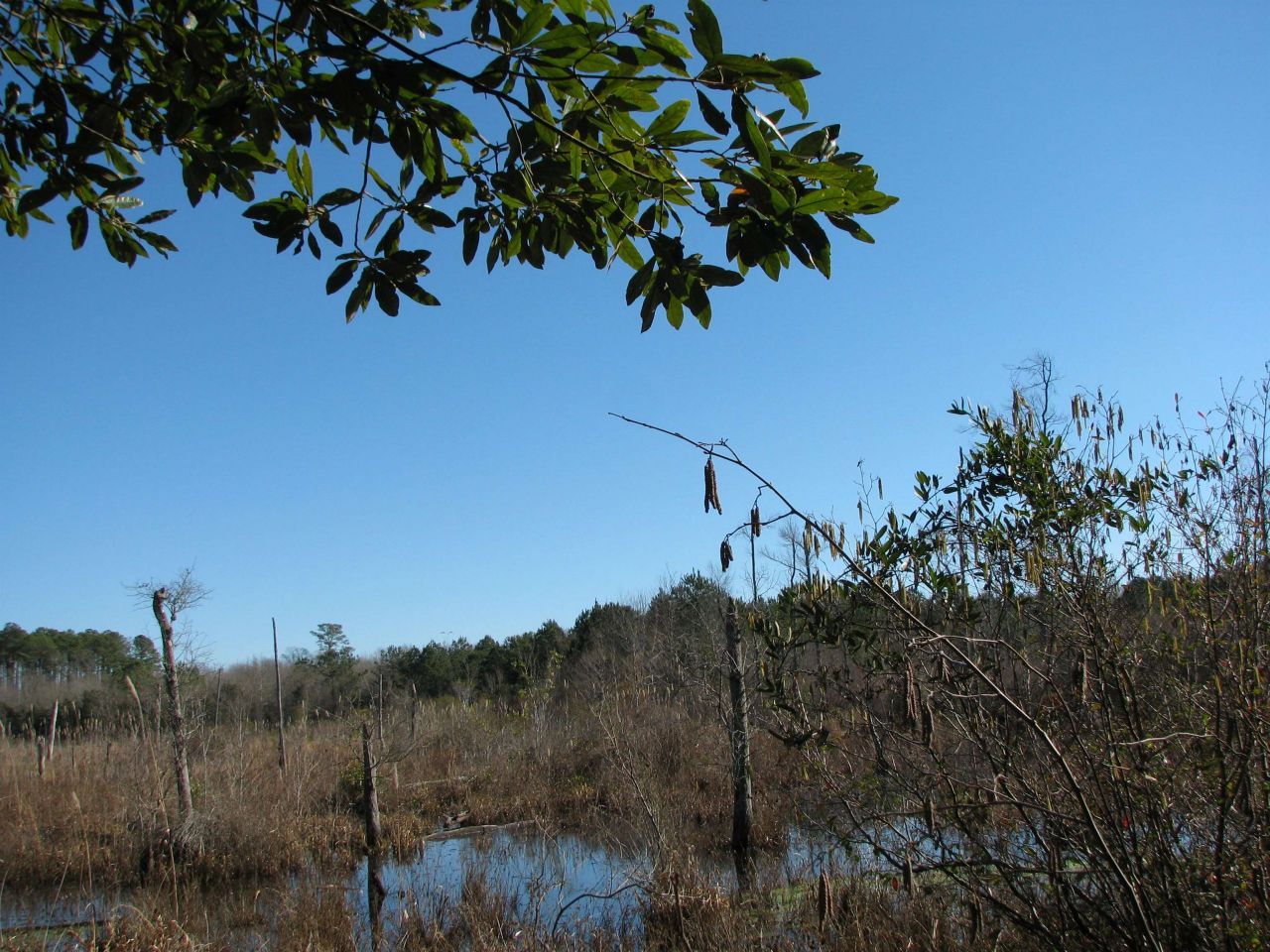 0 Cannery Rd  Photo 26