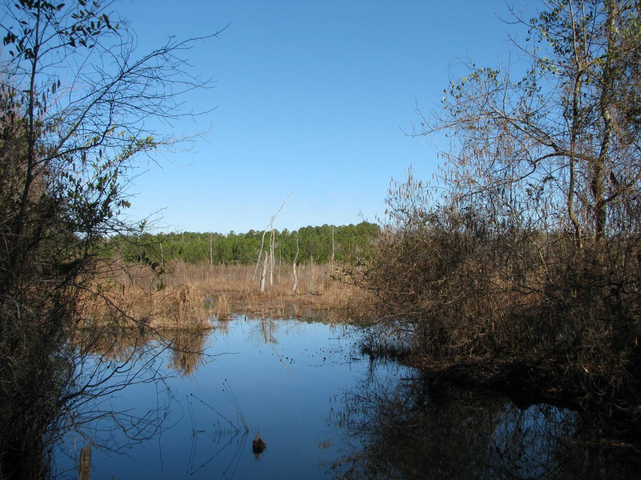 0 Cannery Rd  Photo 28