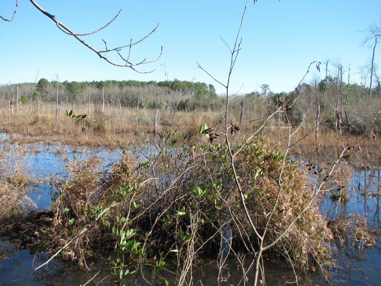 0 Cannery Rd  Photo 33