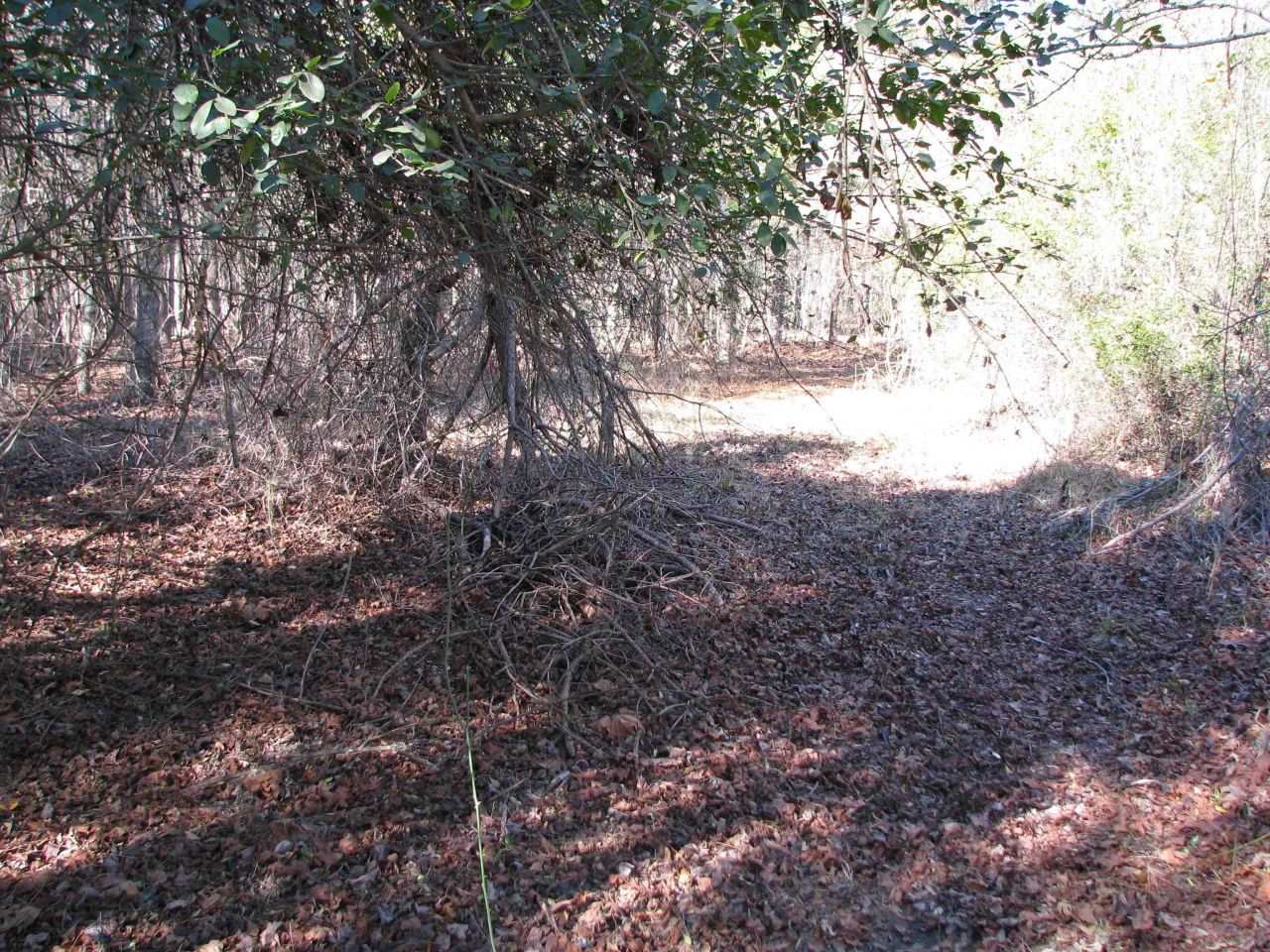 0 Cannery Rd  Photo 36