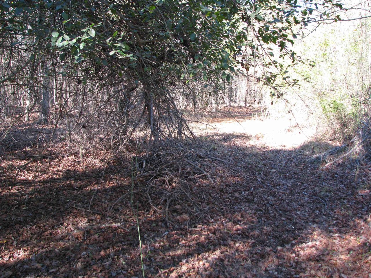 0 Cannery Rd  Photo 37