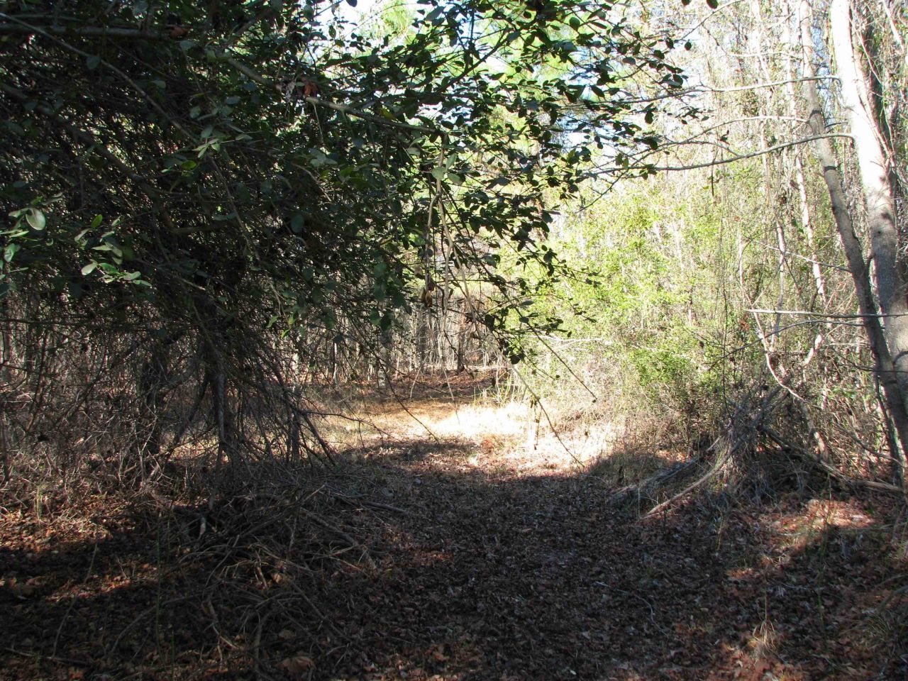 0 Cannery Rd  Photo 38