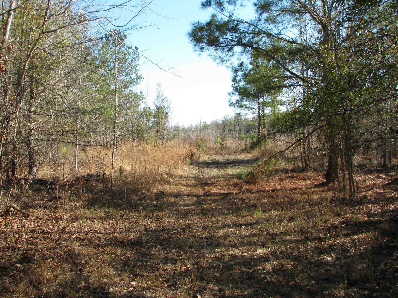 0 Cannery Rd  Photo 44