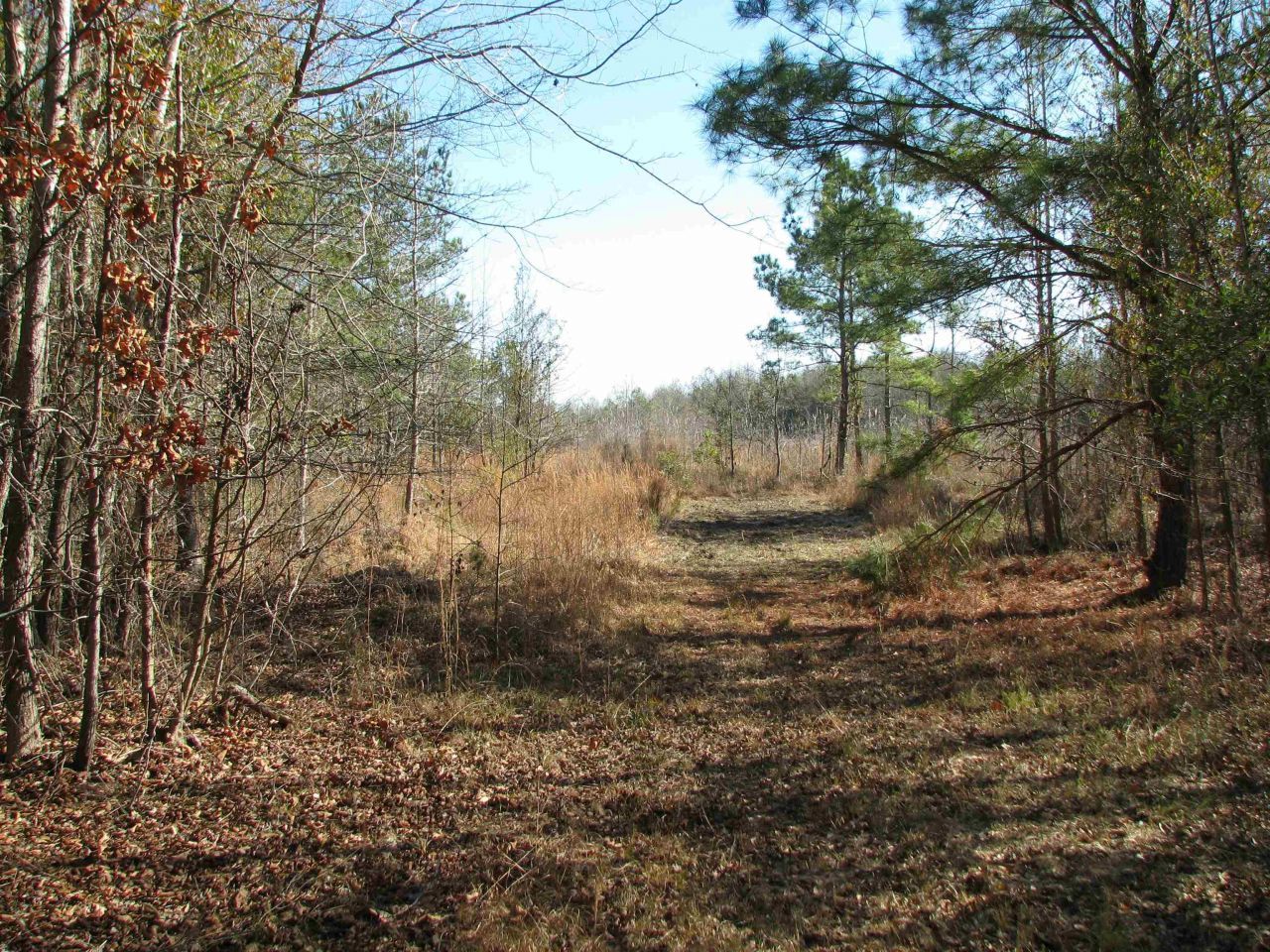 0 Cannery Rd  Photo 45