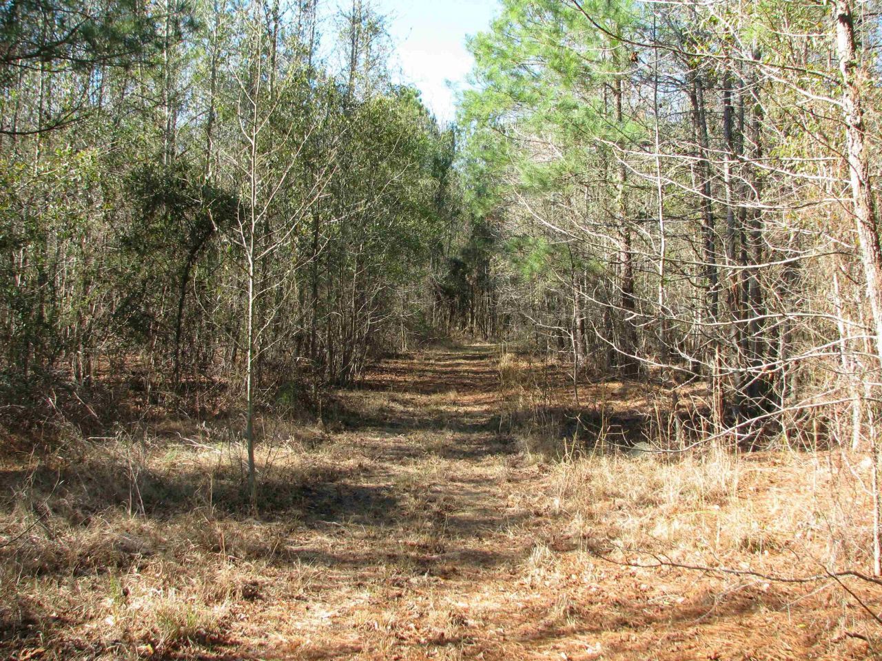 0 Cannery Rd  Photo 46