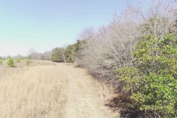 0 Cannery Rd  photo 4