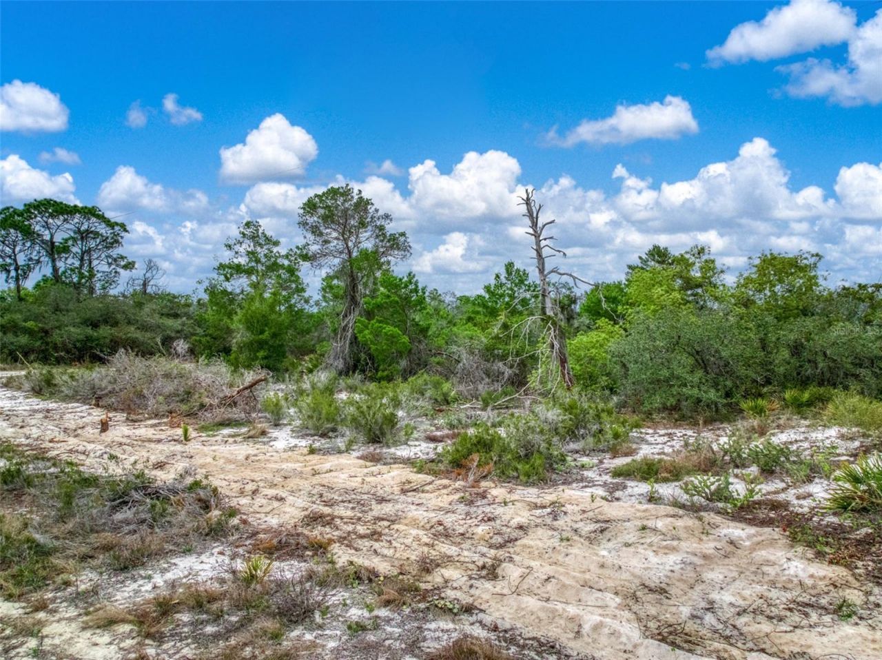 143 Patton Avenue, Lake Placid, FL 33852 Photo