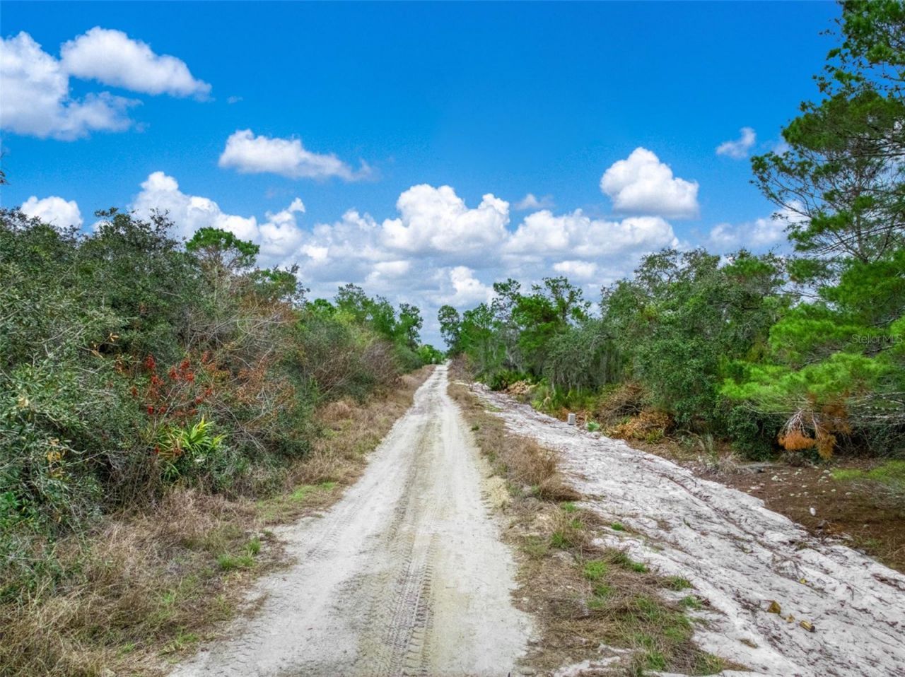 143 Patton Avenue, Lake Placid, FL 33852 Photo