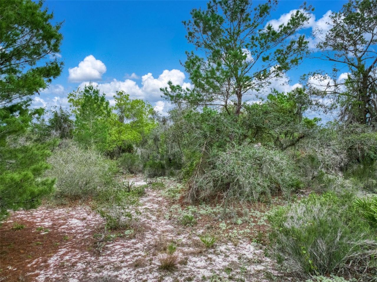 143 Patton Avenue, Lake Placid, FL 33852 Photo