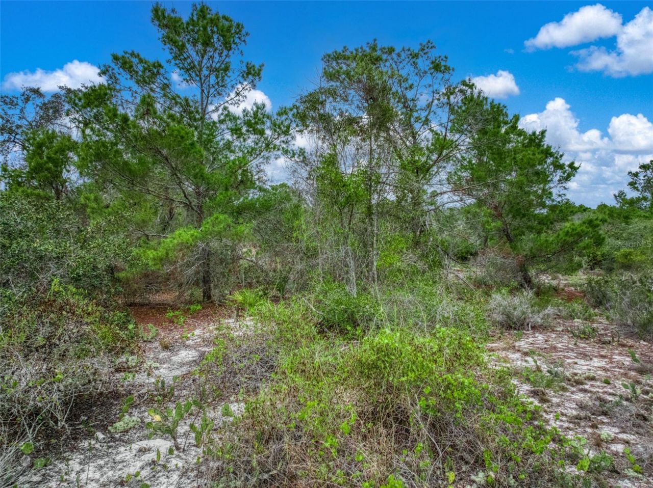 143 Patton Avenue, Lake Placid, FL 33852 Photo