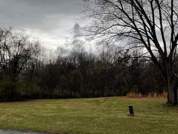 0 Pleasure Point Lot 49 DR , Goodview, VA 24095